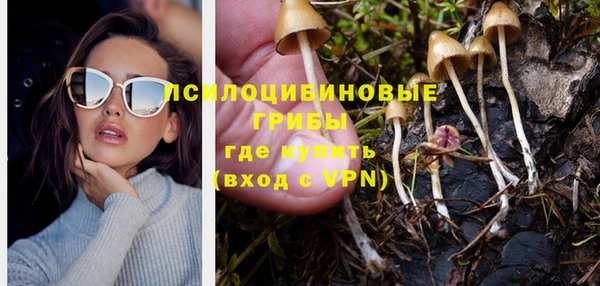 трава Володарск