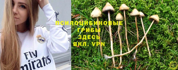 a pvp Волоколамск