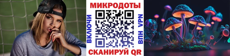 Псилоцибиновые грибы Psilocybe  MEGA tor  Дно 